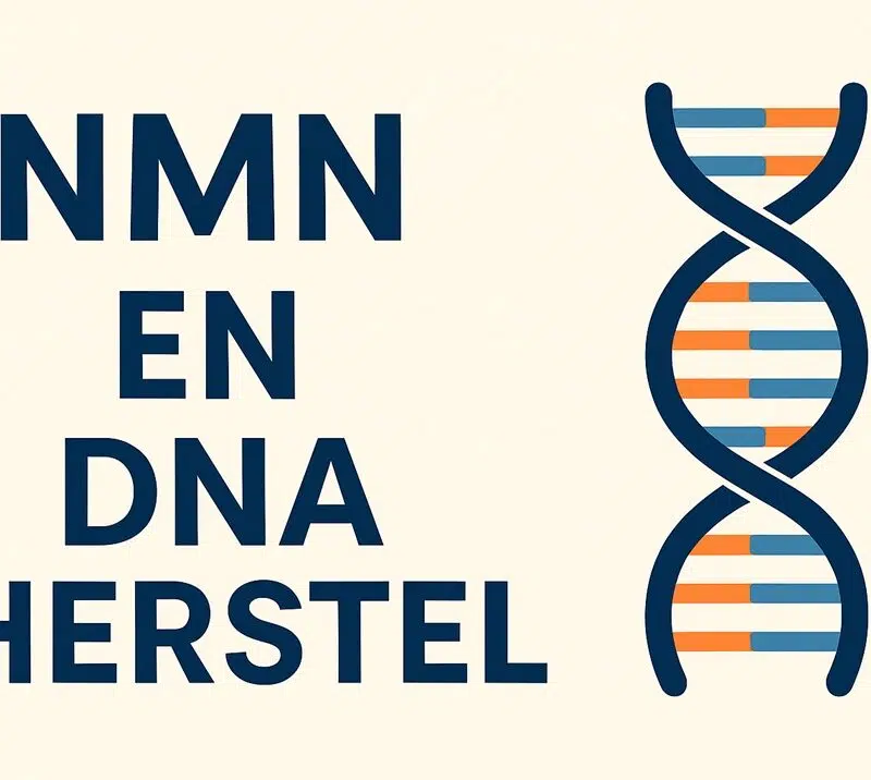 NMN en DNA herstel โ illustratie van een DNA-streng die symbool staat voor de rol van NMN bij anti-aging en NADโบ verhoging.