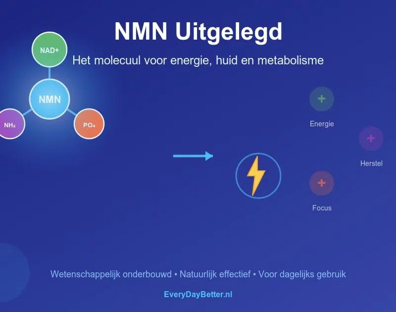 All about NMN: NMN supplement explanation: how the molecule works for energy, skin and metabolism