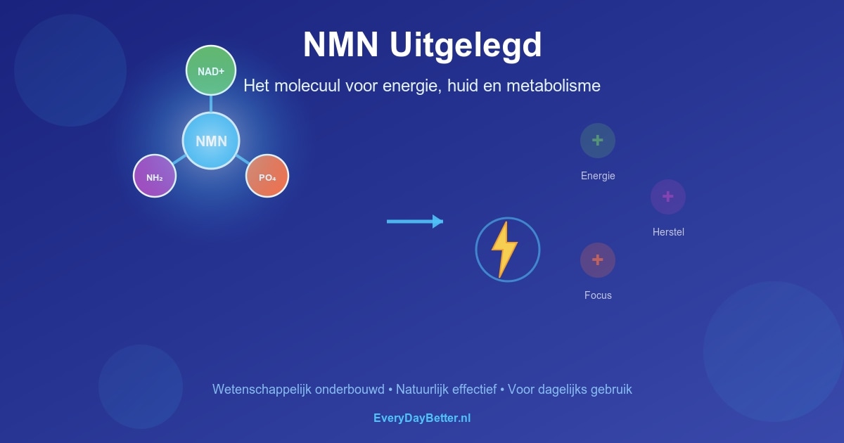 All about NMN: NMN supplement explanation: how the molecule works for energy, skin and metabolism