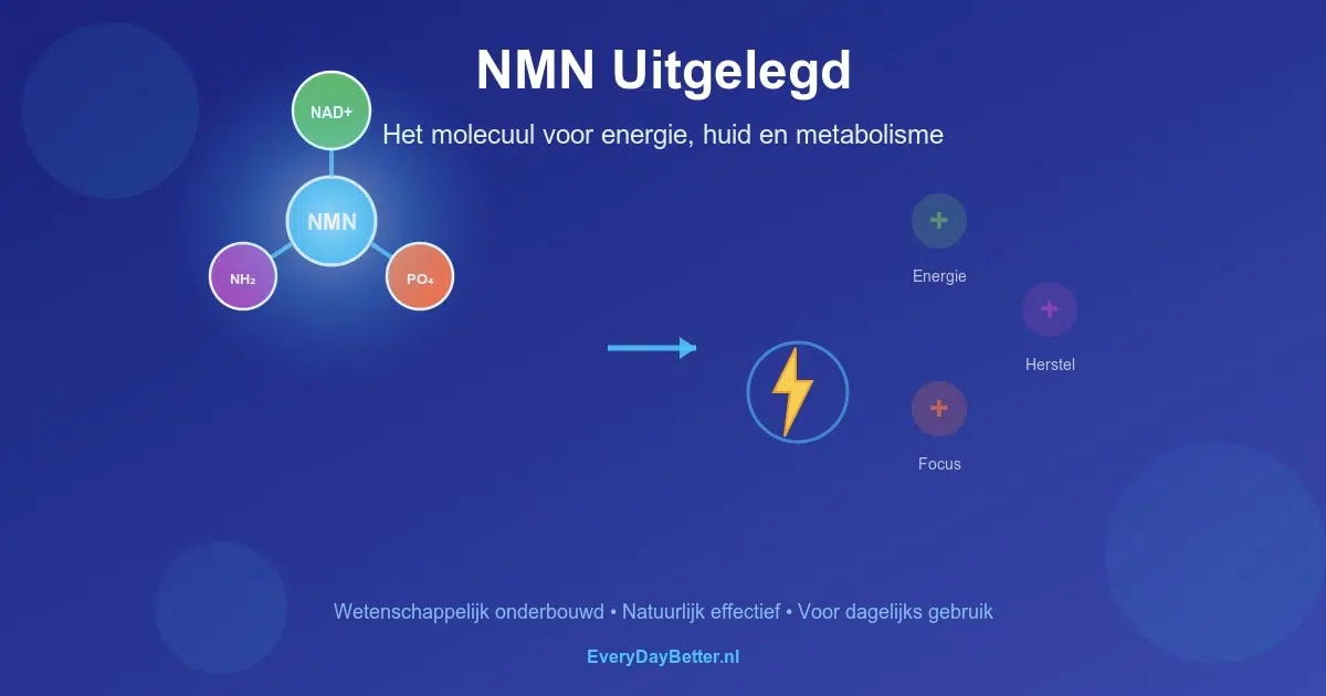 Alles over NMN: NMN supplement uitleg: hoe het molecuul werkt voor energie, huid en metabolisme