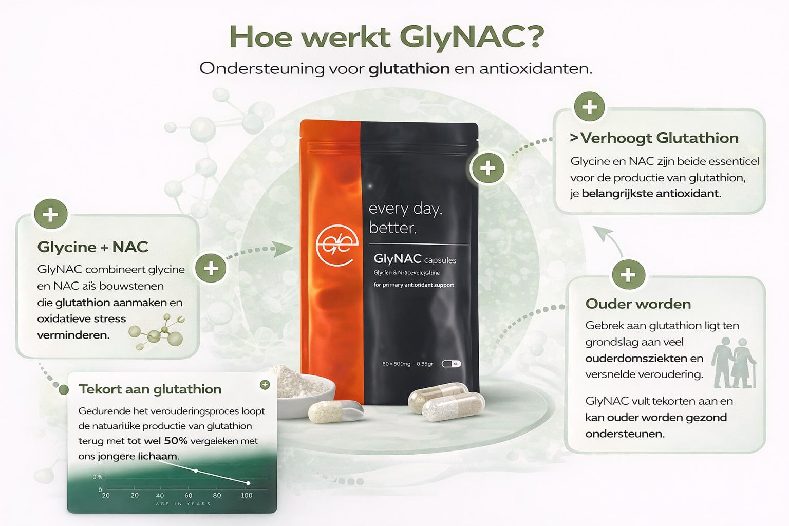 Infographic over hoe werkt GlyNAC die laat zien hoe GlyNAC werkt: glycine en NAC ondersteunen de aanmaak van glutathion en antioxidanten bij het ouder worden.
