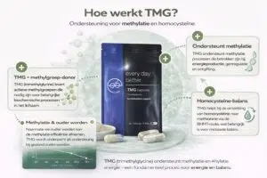 Supplementen voor gezond ouder worden - Every Day Better Infographic die laat zien hoe TMG (trimethylglycine) werkt: ondersteuning van methylatie en homocysteïne met TMG capsules van Every Day Better.