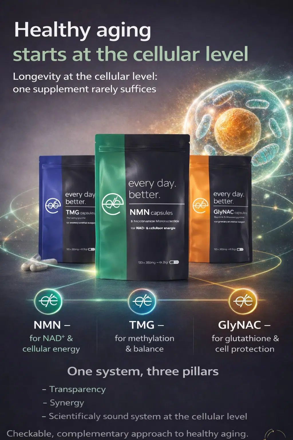 Longevity at the cellular level explained with NMN, TMG and GlyNAC as a complementary supplement system