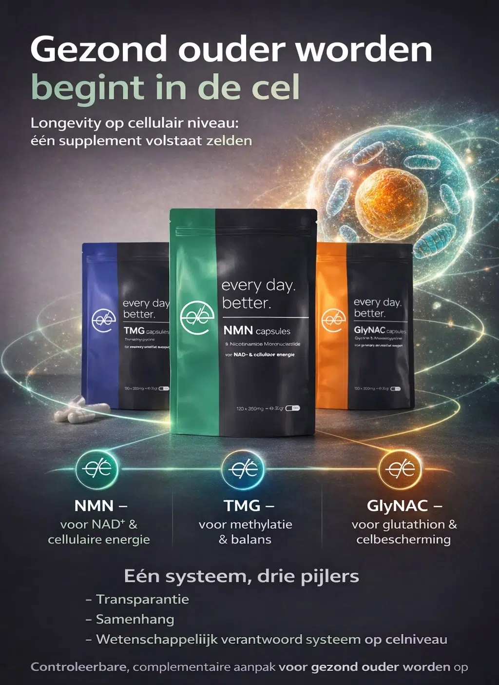Longevity supplementen van Every Day Better met NMN, TMG en GlyNAC voor longevity op celniveau uitgelegd