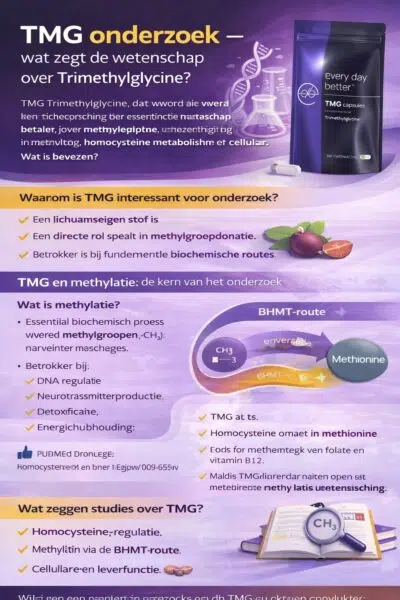 Infographic TMG research about scientific research into TMG (Trimethylglycine), with explanation about methylation, homocysteine and biochemical pathways.
