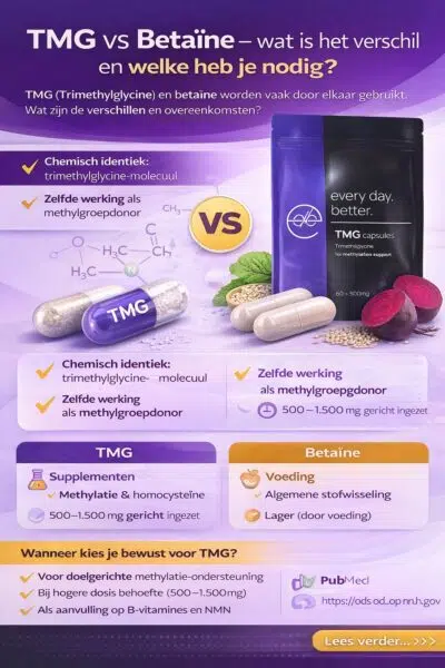 Infographic die TMG (Trimethylglycine) en betaïne vergelijkt en uitlegt wat het verschil is, wanneer je TMG gebruikt en wanneer betaïne uit voeding volstaat.
