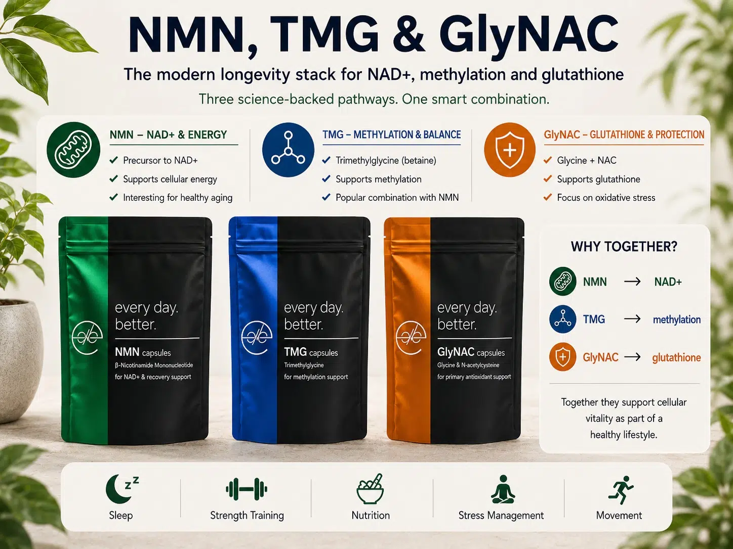 Longevity stack with NMN, TMG, and GlyNAC supplements for NAD+, methylation, and glutathione
