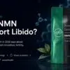 NMN and libido: what does research say in 2026? Illustration about NMN and libido with Every Day Better NMN capsules, focusing on NAD+, energy, blood circulation, fertility, and sexual health.