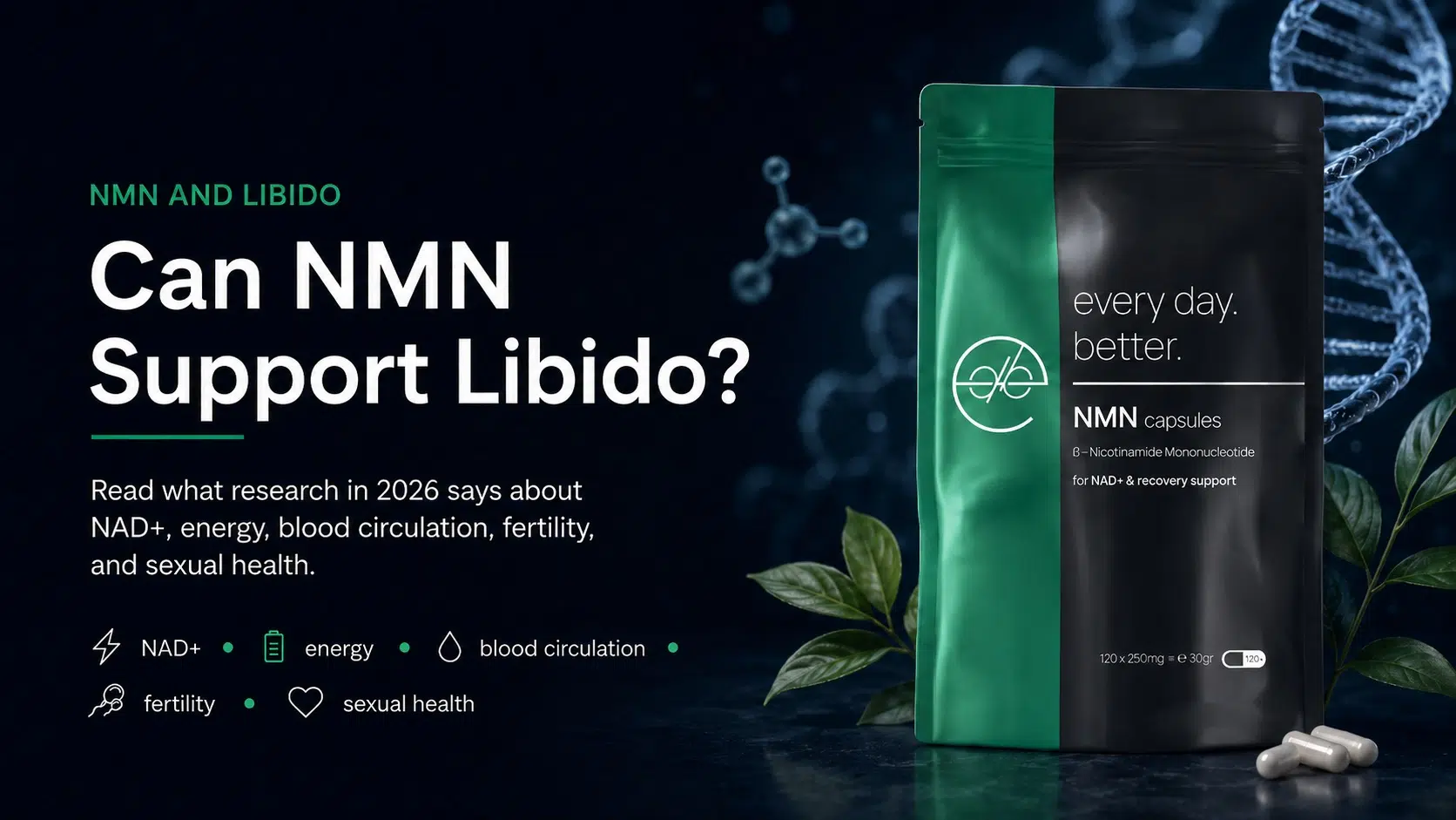 Illustration about NMN and libido with Every Day Better NMN capsules, focusing on NAD+, energy, blood circulation, fertility, and sexual health.
