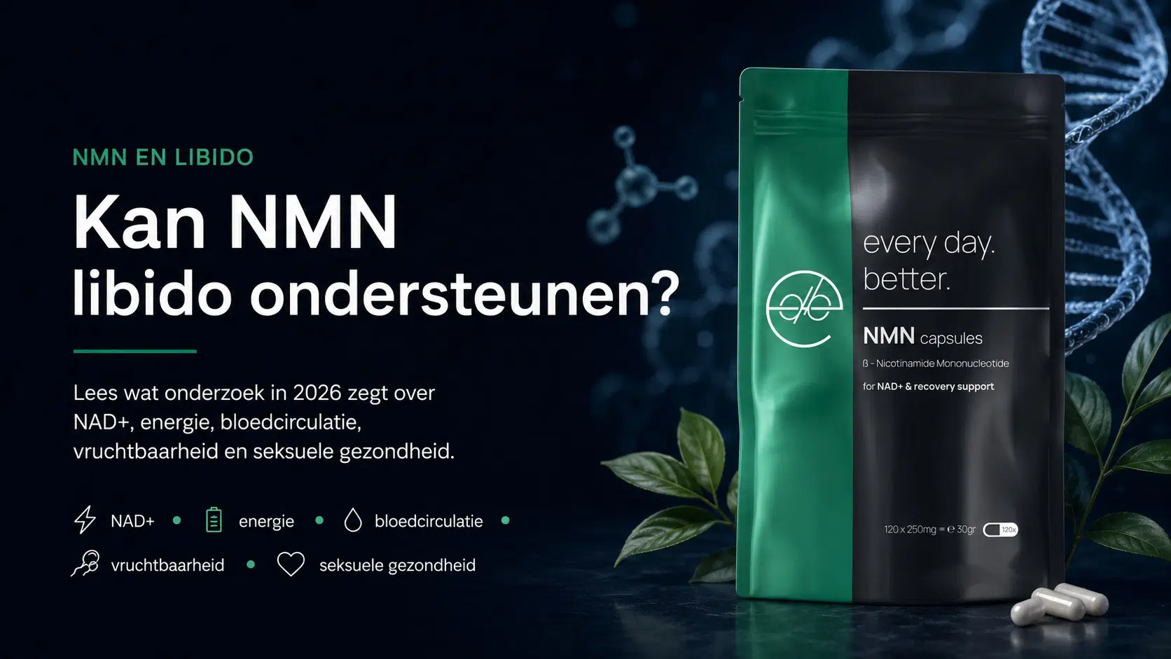 Illustratie over NMN en libido met Every Day Better NMN capsules, gericht op NAD+, energie, bloedcirculatie, vruchtbaarheid en seksuele gezondheid.